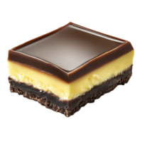 Delicious Nanaimo bar with layers of chocolate custard and crumb base in natural light png