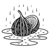 Monochrome fig illustration with halved fruit and textured raindrop background vector