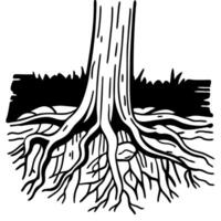 Tree roots in soil black and white illustration of deep roots and organic growth vector
