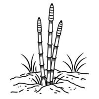 Monochrome sketch of bamboo plants growing from the ground amidst grass and soil elements vector