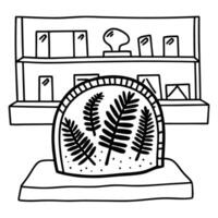 Bookshelf display, fossil exhibit illustration, museum shelf with books, ancient fern specimen vector