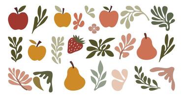 Hand drawn abstract fruits set with leaves vector
