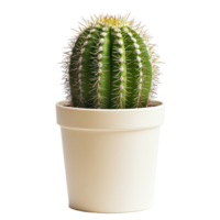 Closeup view of a vibrant cactus growing in a simple pot isolated against a Transparent background, Closeup view a cactus growing in a pot, isolated on a background png