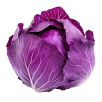 Vibrant purple cabbage isolated on a Transparent background showcasing its rich color and texture, purple cabbage isolated background png