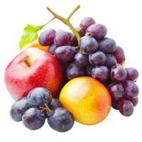 Ripe fruits including apples, grapes, and plums isolated on a Transparent background for a fresh and vibrant display, ripe jackfruits isolated on background png