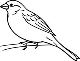 Simple Sparrow Delicate Bird Sketch for Nature Designs eps vector