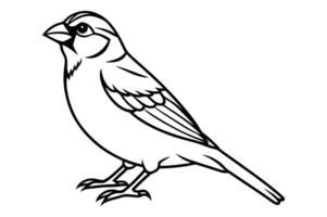 Simple Sparrow Line Art Delicate Bird Sketch for Nature Designs vector