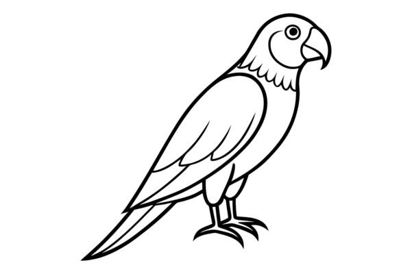 Elegant Parrot Line art Outline for Tattoos and Prints