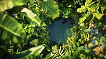 Aerial View of a Lush Tropical Pond photo