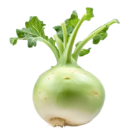 Fresh kohlrabi with green leaves isolated on Transparent background for culinary uses and nutritional benefits, Kohlrabi isolated on background png