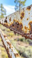 Rusty Metal Beams in a Natural Setting photo