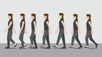 Animation of woman in dark shirt and pants with hands walking in side view showing the step cycle sequence vector
