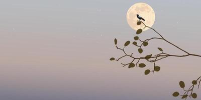 Silhouette of a crow perched on a branch have full moon and vanilla sky background graphic illustration have blank space. vector
