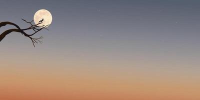 Silhouette of a bird perched on a leafless branch have full moon and sunset background graphic illustration have blank space. vector