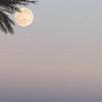 Silhouette palm trees with full moon have vanilla sky square background graphic illustration have blank space. vector