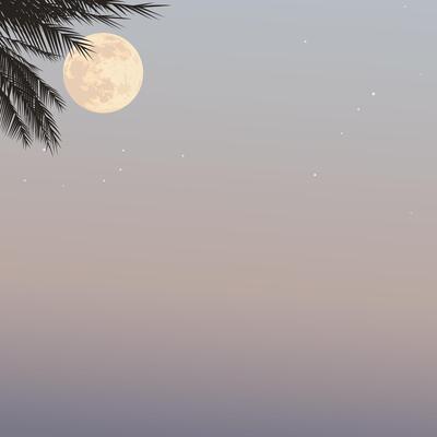 Silhouette palm trees with full moon have vanilla sky square background graphic illustration have blank space.