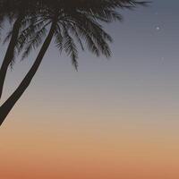 Silhouette palm trees with sunset sky with north star square background graphic illustration have blank space. vector