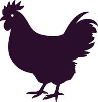 a chicken on a white background vector