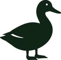 a duck on a white background vector