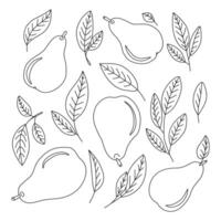 Doodle set of pears and leaves. Isolated, on white background vector