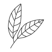 leaf outline drawing on a white background vector