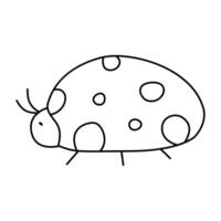 Ladybug in doodle style, vector