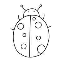 a ladybug with a black and white outline vector