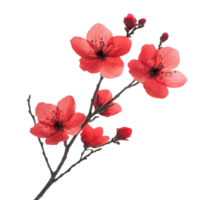 Closeup of vibrant red flowers on branch with delicate petals against a Transparent background, Closeup view wilted lotus flowers isolated on background png