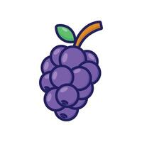 A purple grape on a white background vector