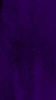 Purple Colorful powder explosion in slow motion video