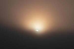 Part of sun under top trees, cloud in feeling dark background. photo