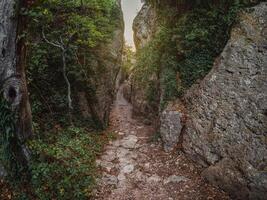 Sunlight in a mountain gorge Karaul-Oba in Crimea. photo