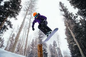 Snowboarder executes thrilling backflip over wooden fence in snowy landscape photo