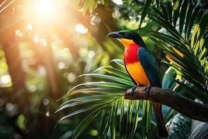 vibrant bird perched on a tropical tree, surrounding palm leaves and lush greenery with bright sunlight creating a warm, natural atmosphere photo