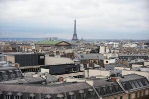Parisian rooftops with Eiffel Tower and Grand Palais in the distance photo