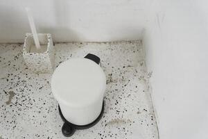 A toilet paper bin. Sewage systems in many countries cannot handle the ejection of toilet paper, which leads to clogging of the water supply. photo