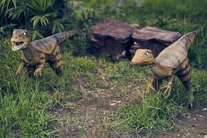 Two Velociraptors stand against a background of rocks and grass. This dinosaur lived at the end of the Cretaceous period. With space to copy photo