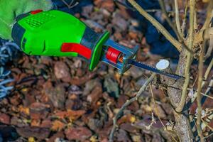 Close-up of a hibiscus syriacus bush being trimmed with a mini electric saw. Spring gardening on a sunny day. photo