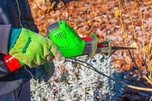 Gardener trimming bush with mini electric saw. Hands in work gloves trim tree branches with hand garden saw and trim trees in garden. photo