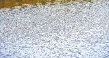 Water surface at sunset, ripples of river or ocean with small waves, close-up. Abstract background, texture. photo