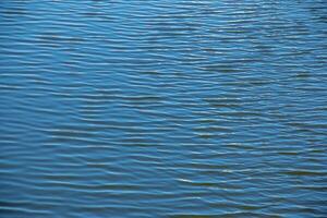 Water, ripple and nature with environment river or ocean with waves, calm and closeup. photo
