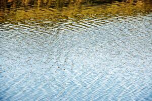 Water surface at sunset, ripples of river with small waves, close-up. Natural background. Abstract background, texture. photo