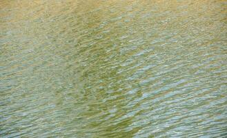 Water surface at sunset, ripples of river with small waves, calm and close-up. Natural background. Abstract background, texture. photo