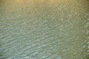 Water surface at sunset, ripples of river or ocean with small waves, calm and close-up. Natural background. Abstract background, texture. photo