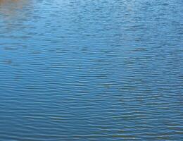 Water, ripple and nature with environment river or ocean with waves, calm and closeup. Natural background. photo