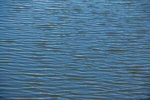 Water, ripple and nature with environment lake, river with waves, calm and closeup. photo