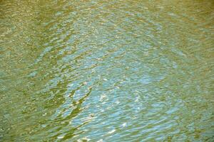 Water surface in sunset rays, river ripples or ocean with small waves, calm and close-up. Natural background. Abstract background. photo