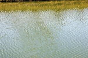 Water surface at sunset, ripples of river or ocean, calm and close-up. Natural background. Abstract background, texture. photo