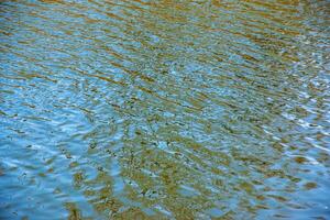 Water surface in sunset rays, river ripples or ocean with small waves, calm and close-up. Natural background. Abstract background, texture. photo