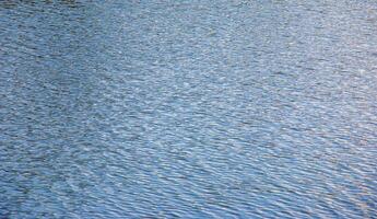 Water, ripple and nature with environment and lake, river or ocean with waves, calm and closeup. Natural background. photo